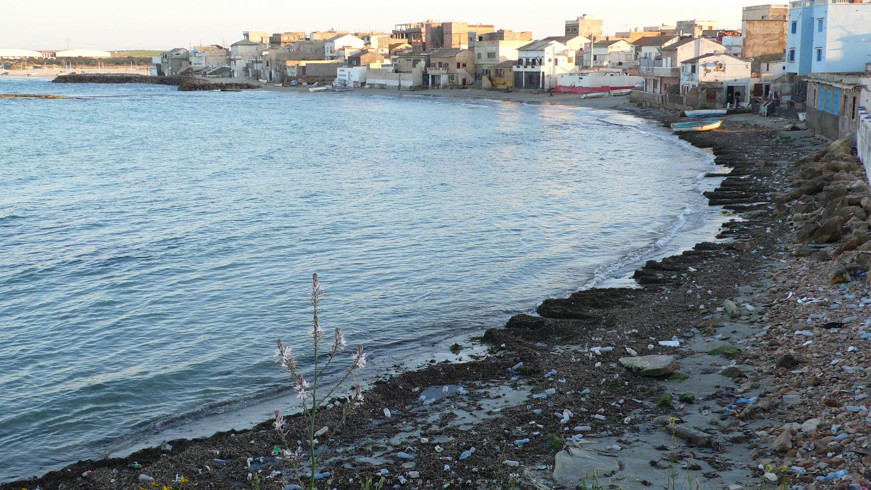 ORAN MARS 2012 62 Port aux Poules.JPG
